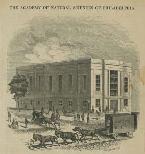 An engraving from a magazine depicting the Broad and Sansom location of the Academy of Natural Sciences.